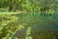 Jiuzhaigou gold bell pool Royalty Free Stock Photo