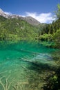 Jiuzhaigou grass pool Royalty Free Stock Photo