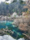 Jiuzhaigou Valley Scenic and Historic Interest Area