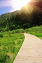 wooden hiking trail in froest Royalty Free Stock Photo