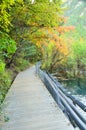 Jiuzhaigou National Park located in the north of Sichuan Province in the southwestern region of China.