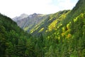 Jiuzhaigou National Park located in the north of Sichuan Province in the southwestern region of China. Royalty Free Stock Photo