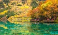 Jiuzhaigou National Park Royalty Free Stock Photo