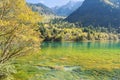 Jiuzhaigou National Park, Sichuan Province, China Royalty Free Stock Photo