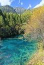 Jiuzhaigou National Park, Sichuan Province, China Royalty Free Stock Photo