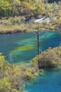 Jiuzhaigou National Park, Sichuan Province, China Royalty Free Stock Photo