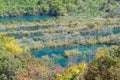 Jiuzhaigou National Park, Sichuan Province, China Royalty Free Stock Photo