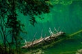 Lake and Trees in Jiuzhaigou Valley, Sichuan, China Royalty Free Stock Photo