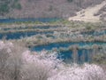 Jiuzhaigou park lake in China