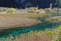 Jiuzhaigou reed lake