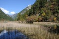 Jiuzhaigou reed lake Royalty Free Stock Photo