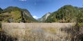 Jiuzhaigou reed lake Royalty Free Stock Photo