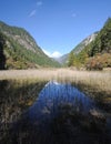 Jiuzhaigou reed lake Royalty Free Stock Photo