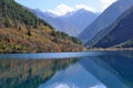 Jiuzhaigou rhinoceros lake Royalty Free Stock Photo
