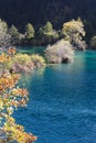 Jiuzhaigou sparkling lake Royalty Free Stock Photo