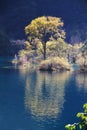 Jiuzhaigou sparkling lake Royalty Free Stock Photo