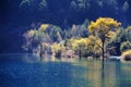 Jiuzhaigou sparkling lake Royalty Free Stock Photo