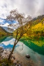 Jiuzhaigou , Unesco nature reserve and national park during autumn in Ngawa Tibetan and Qiang in Sichuan , China : 17 October 2023 Royalty Free Stock Photo