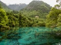 Jiuzhaigou Valley National park in China Royalty Free Stock Photo