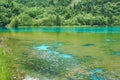 Jiuzhaigou Valley National Park and Historic Interest Area Royalty Free Stock Photo