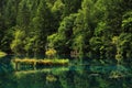 Jiuzhaigou wuhuahai summer