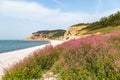 Jiuzhangya Scenery Spot beach in Changdao Island, Yantai Royalty Free Stock Photo