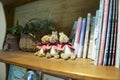 Jiyugaoka Peter Rabbit Garden Cafe Royalty Free Stock Photo