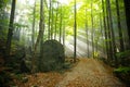 Jizera mountains, Czech Republic