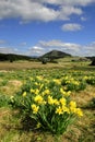 Jizerka rural settlement Royalty Free Stock Photo