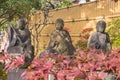 Jizo bodhisattva sitting statues and red momiji maple autumn leaves in Tamonji Temple.