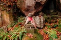 Jizo Bosatsu stone monk statues at Yamadera temple, Yamagata, Japan