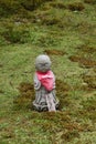 A Jizo statue standing in the moss-covered garden.