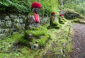 Jizo statues in Kanmangafuchi abyss Royalty Free Stock Photo