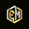 Ector letter FM logo elegant colors