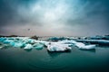 Jokulsarlon: glacier lagoon in Iceland