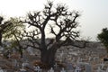 Muslim and Christian graveyard in Joal-Fadiouth, Petite CÃÂ´te, Senegal