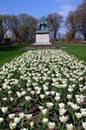 Joan of Arch Garden with beautiful white flowers