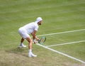 Joao Sousa at Wimbledon Royalty Free Stock Photo