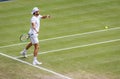 Joao Sousa at Wimbledon