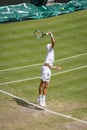 Joao Sousa at Wimbledon