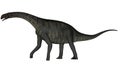 Jobaria dinosaur walking - 3D render Royalty Free Stock Photo