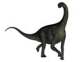 Jobaria dinosaur walking - 3D render Royalty Free Stock Photo