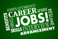 Jobs Career Interview Hiring Interview Words