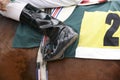 Jockey boot detail and race horse Royalty Free Stock Photo