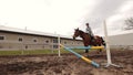 Jockey on brown horse jumping over barrier