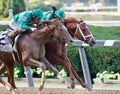 The Jockey Cub Gold Cup Battle