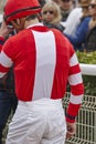 Jockey detail after the race. Hippodrome background. Racehorse.