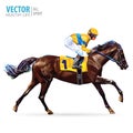 Jockey on horse. Champion. Horse racing. Hippodrome. Racetrack. Jump racetrack. Horse riding. Racing horse coming first