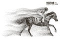 Jockey on horse. Champion. Horse racing. Hippodrome. Racetrack. Jump racetrack. Sport. Particle. Isolated on a white