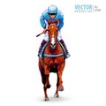 Jockey on horse. Champion. Horse racing. Hippodrome. Racetrack. Jump racetrack. Horse riding. Racing horse coming first Royalty Free Stock Photo